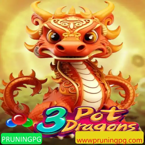 Descubra o Mundo Fascinante de 3PotDragons