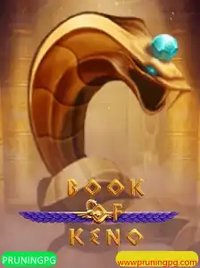 BookOfKeno: Explorando as Regras e Atrações do Jogo com PRUNINGPG