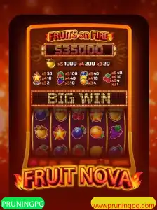 Descubra o Encantador Universo de FruitNova: O Jogo que Revoluciona o Entretenimento Digital