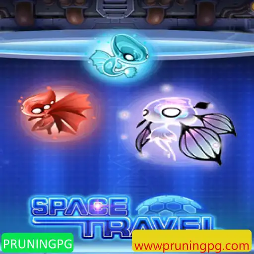 Explorando SpaceTravel: Um Mergulho no Universo Futurista de PRUNINGPG