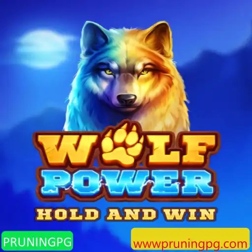 Descubra o Mundo Fascinante de WolfPower